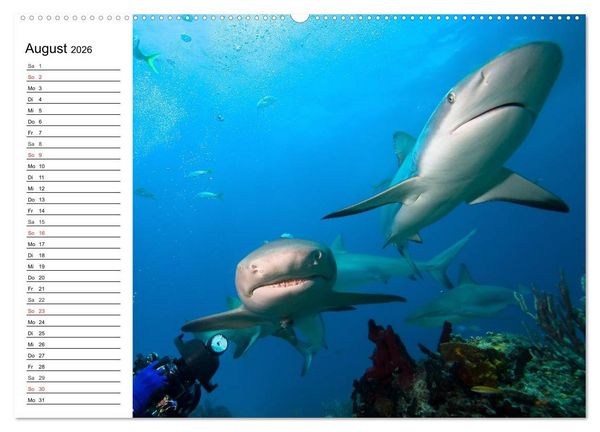 Produktbild: Faszination Tauchen. Neptuns Reich (hochwertiger Premium Wandkalender 2026 DIN A2 quer), Kunstdruck in Hochglanz