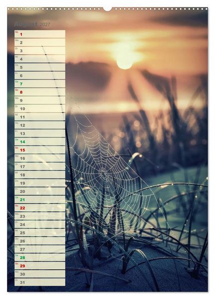 Produktbild: D&uuml;nen und Buhnen (hochwertiger Premium Wandkalender 2027 DIN A2 hoch), Kunstdruck in Hochglanz