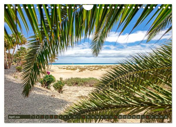 Produktbild: FUERTEVENTURA Paradiesische Impressionen der Insel (Wandkalender 2026 DIN A4 quer), CALVENDO Monatskalender