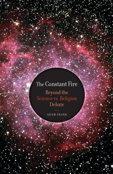 Produktbild: The Constant Fire