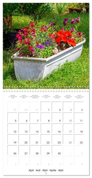 Produktbild: Harriette`s sweet garden (Wall Calendar 2027 12 &times; 12 Inch) CALVENDO 12 Month Wall Calendar