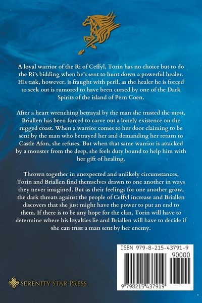 Produktbild: The Successor