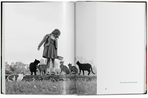 Produktbild: Walter Chandoha. Cats. Photographs 1942&ndash;2018