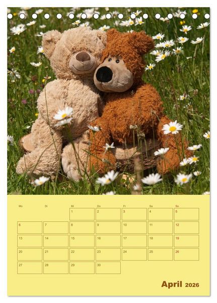 Produktbild: B&auml;renstarker Planer f&uuml;r das Jahr &ndash; Teddys (Tischkalender 2026 DIN A5 hoch), CALVENDO Monatskalender