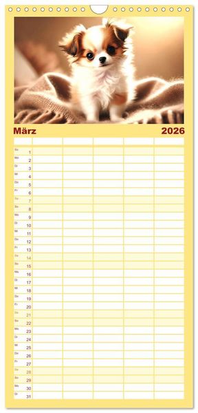 Produktbild: Familienplaner 2026 - Chihuahua-Welpen &ndash; Kleine Wunder mit 5 Spalten (Wandkalender, 21 x 45 cm) CALVENDO