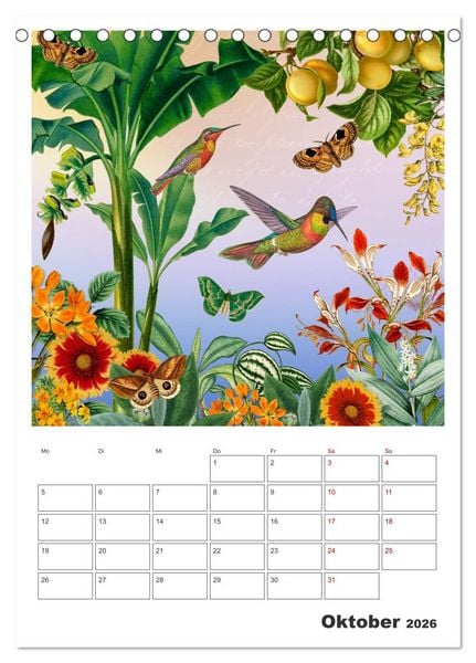 Produktbild: Das Paradies der Kolibris (Tischkalender 2026 DIN A5 hoch), CALVENDO Monatskalender
