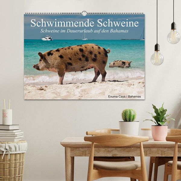 Produktbild: Schwimmende Schweine (Wandkalender 2026 DIN A2 quer), CALVENDO Monatskalender