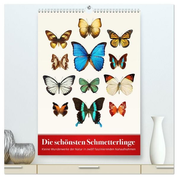 Produktbild: Die sch&ouml;nsten Schmetterlinge (hochwertiger Premium Wandkalender 2026 DIN A2 hoch), Kunstdruck in Hochglanz