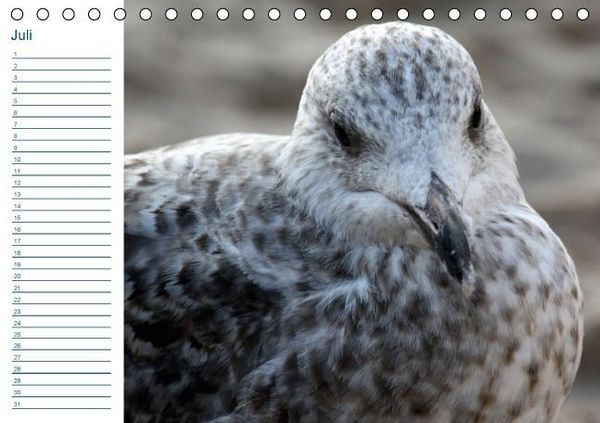 Produktbild: Sylt - Best&auml;ndige Sehnsucht (Tischkalender immerw&auml;hrend DIN A5 quer)