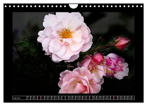 Produktbild: Mysterious plant portraits (Wall Calendar 2026 DIN A4 landscape), CALVENDO 12 Month Wall Calendar