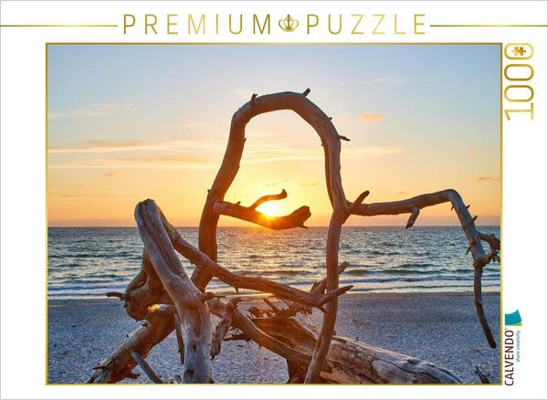 Produktbild: CALVENDO Puzzle Baumliebe am Weststrand Fischland-Darss-Zingst | 1000 Teile Lege-Gr&ouml;&szlig;e 64x48cm Foto-Puzzle f&uuml;r gl&uuml;ckliche Stunden