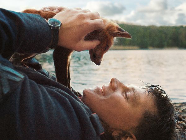 Produktbild: Der Fuchs