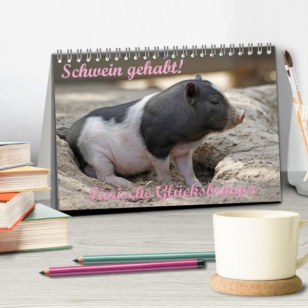 Produktbild: Schwein gehabt! (Tischkalender 2027 DIN A5 quer), CALVENDO Monatskalender