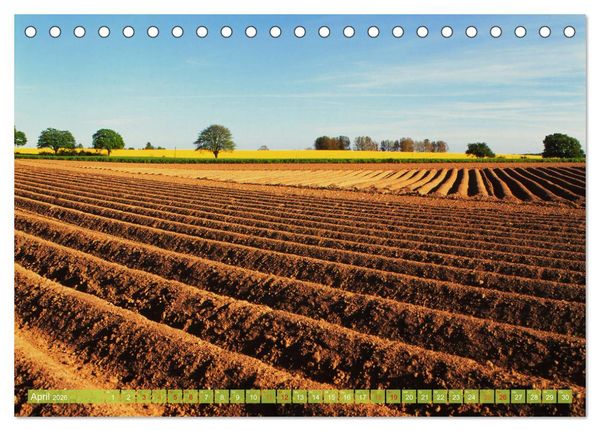 Produktbild: Landwirtschaft Natur pur Mecklenburg-Vorpommern (Tischkalender 2026 DIN A5 quer), CALVENDO Monatskalender