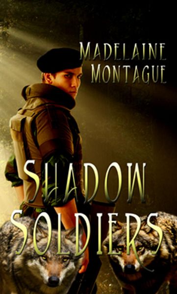 Produktbild: Shadow Soldiers