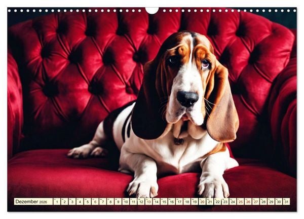 Produktbild: Basset Hound - unverkennbar (Wandkalender 2026 DIN A3 quer), CALVENDO Monatskalender