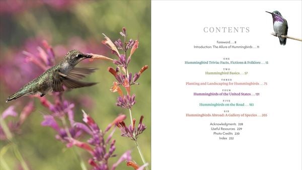 Produktbild: The Hummingbird Handbook