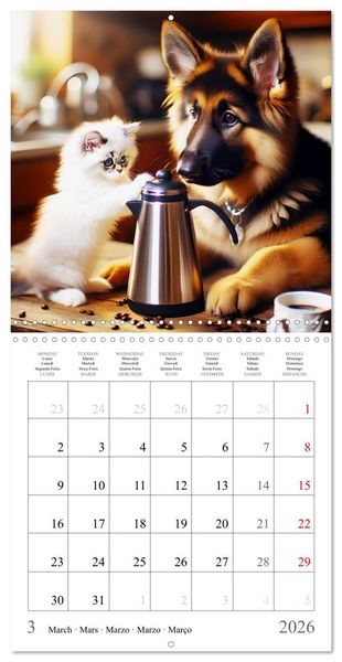 Produktbild: Des amis inhabituels (Calendrier mural carr&eacute; 2026 30x30 cm) Calendrier double avec une page pour vos prises de notes