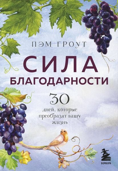 Produktbild: Sila blagodarnosti. 30 dney, kotorye preobrazyat vashu zhizn