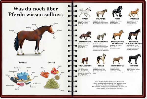 Produktbild: Mein riesengro&szlig;es WimmelSuchBuch: Pferde & Ponys