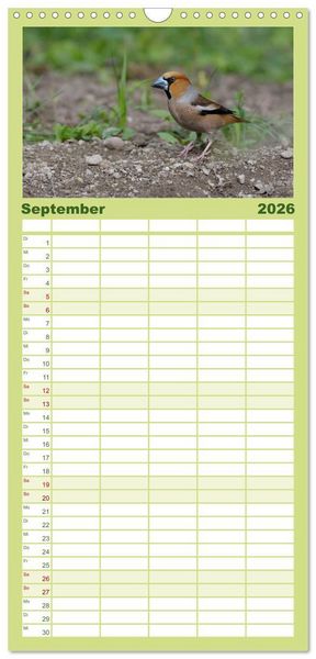 Produktbild: Familienplaner 2026 - V&ouml;gel mit 5 Spalten (Wandkalender, 21 x 45 cm) CALVENDO