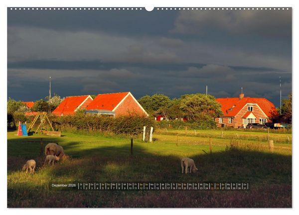 Produktbild: Mand&oslash; - Perle im d&auml;nischen Wattenmeer (Wandkalender 2026 DIN A2 quer), CALVENDO Monatskalender
