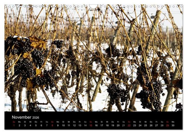 Produktbild: Das Jahr im Weinberg (Wandkalender 2026 DIN A3 quer), CALVENDO Monatskalender