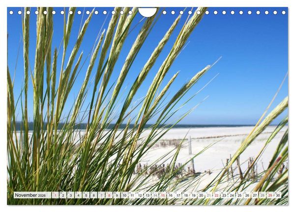 Produktbild: Amrum &ndash; Trauminsel in der Nordsee (Wandkalender 2026 DIN A4 quer), CALVENDO Monatskalender