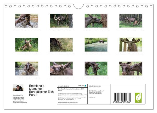 Produktbild: Emotionale Momente: Europ&auml;ischer Elch Part II (Wandkalender 2026 DIN A4 quer), CALVENDO Monatskalender