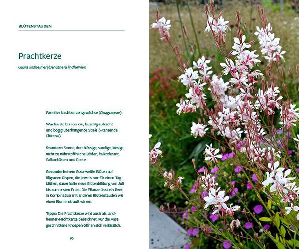 Produktbild: G&auml;rtnern im Wandel