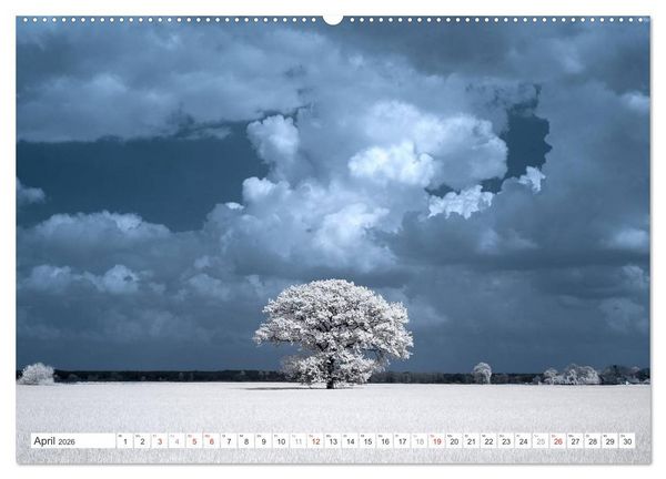 Produktbild: Zauberhafte Infrarot-Fotografie (hochwertiger Premium Wandkalender 2026 DIN A2 quer), Kunstdruck in Hochglanz