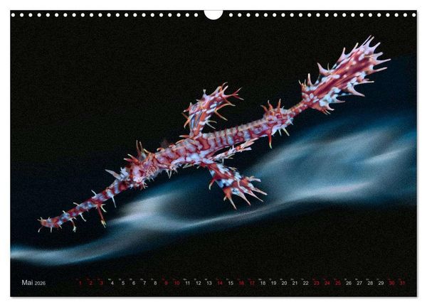 Produktbild: Artwork Unterwasser - Erlebnis Tauchen (Wandkalender 2026 DIN A3 quer), CALVENDO Monatskalender