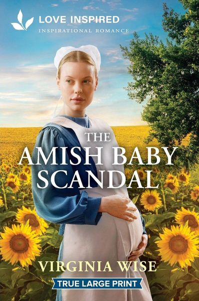 Produktbild: The Amish Baby Scandal
