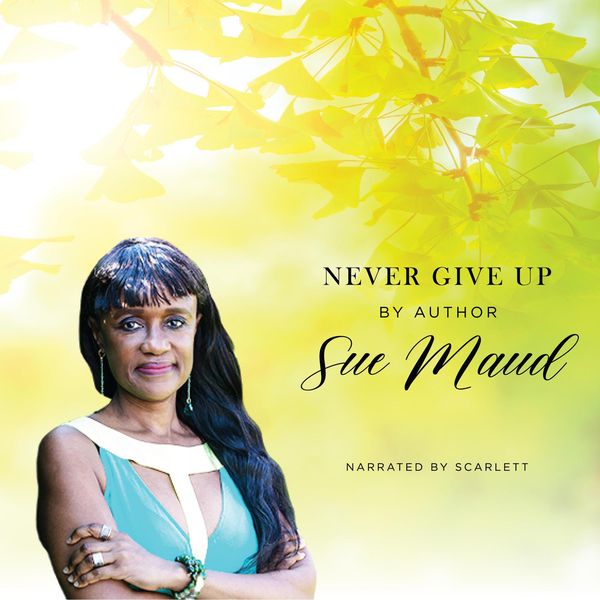 Produktbild: Never Give Up