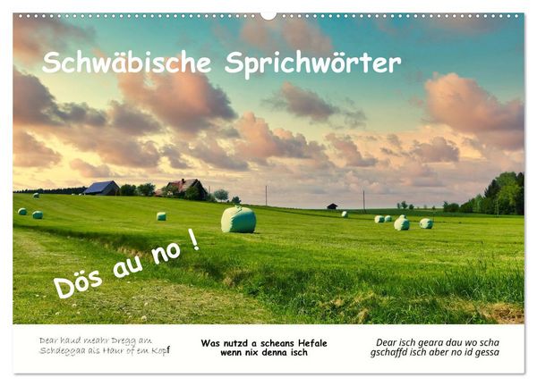 Produktbild: 03 Schw&auml;bische Sprichw&ouml;rter - D&ouml;s au no! (Wandkalender 2026 DIN A2 quer), CALVENDO Monatskalender