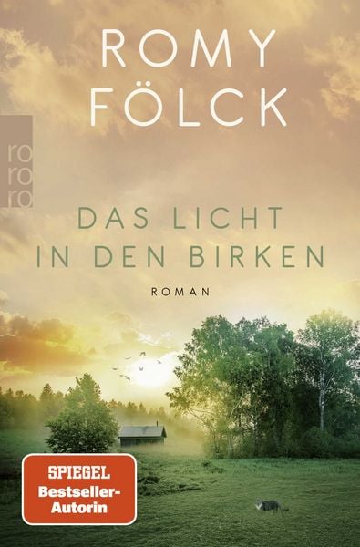Produktbild: Das Licht in den Birken