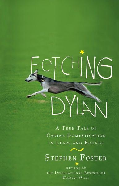 Produktbild: Fetching Dylan