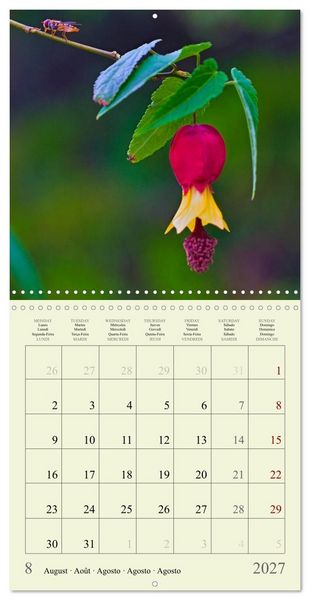 Produktbild: Petites fleurs color&eacute;es (Calendrier mural carr&eacute; 2027 30x30 cm) Calendrier double avec une page pour vos prises de notes
