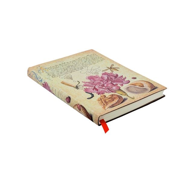 Produktbild: Softcover Notizbuch, Rosa Nelke, Midi, Liniert