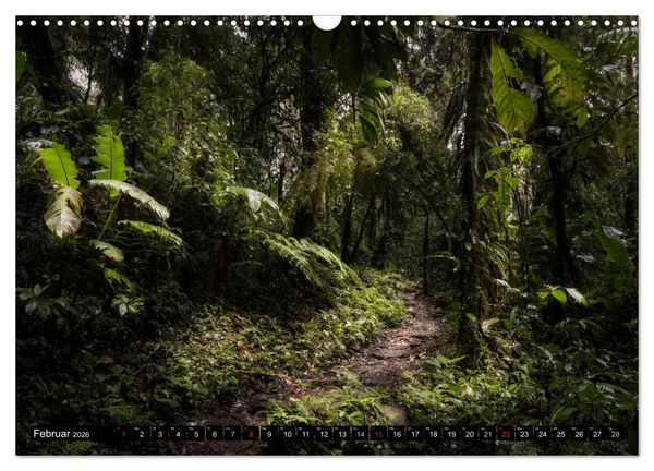 Produktbild: COSTA RICA Farben und Licht (Wandkalender 2026 DIN A3 quer), CALVENDO Monatskalender