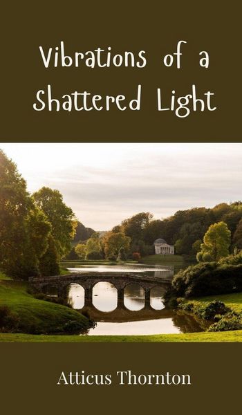Produktbild: Vibrations of a Shattered Light