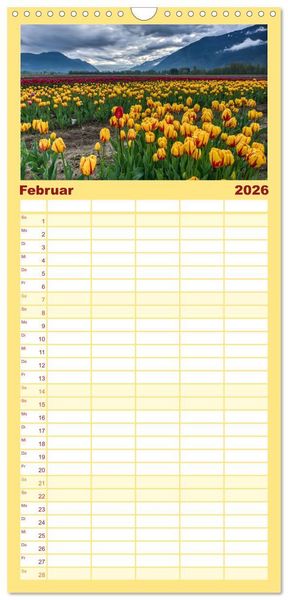 Produktbild: Familienplaner 2026 - Tulpentraum mit 5 Spalten (Wandkalender, 21 x 45 cm) CALVENDO