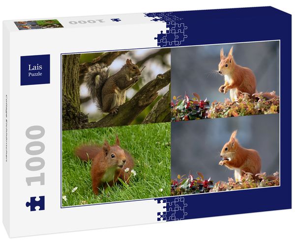 Produktbild: Lais Puzzle Collage Eichh&ouml;rnchen 1000 Teile