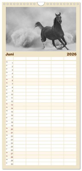 Produktbild: Familienplaner 2026 - Arabische Pferde mit 5 Spalten (Wandkalender, 21 x 45 cm) CALVENDO