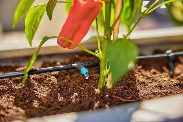 Produktbild: GARDENA Micro-Drip System 13400-20 Bew&auml;sserungs-Komplettset 13mm (1/2\") &Oslash;