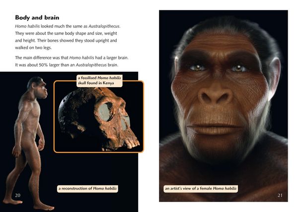 Produktbild: The Story of Us: Becoming Human