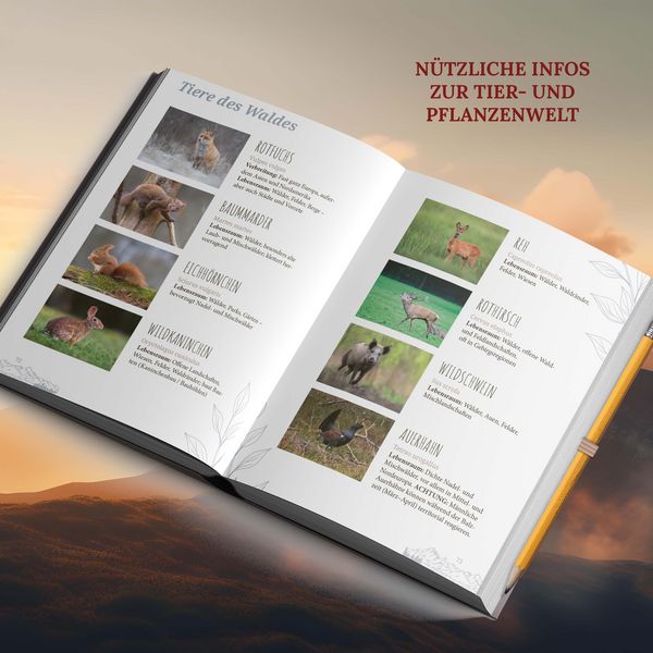 Produktbild: Marmeladenglasmomente unter freiem Himmel