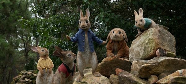 Produktbild: Peter Hase