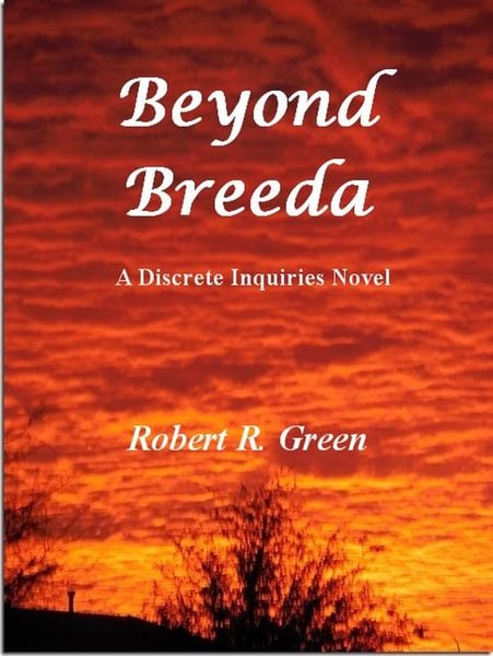 Produktbild: Beyond Breeda (A Discrete Inquiries Novel, #6)