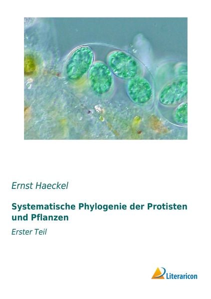 Produktbild: Systematische Phylogenie der Protisten und Pflanzen